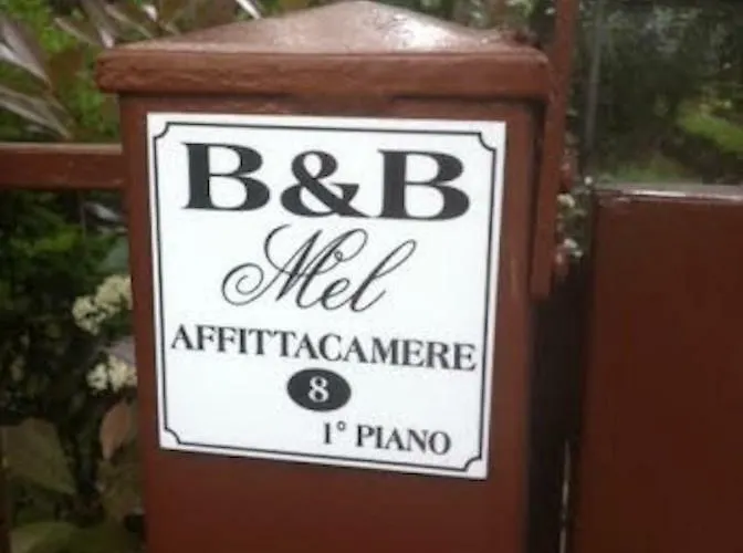 Mel Флоренция